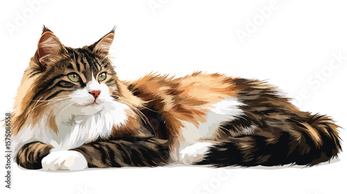 Norwegian Forest Cat Vector Isolated on White Background