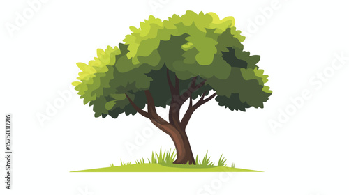 Lush Green Foliage of Perfect Tree with Nice Sky