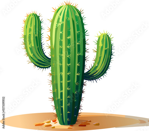 cactus isolated on white