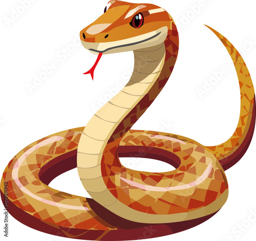 vector illustration of a cartoon snake