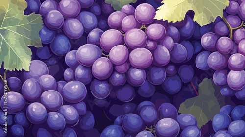 Ripe Grape Bunches Signaling Autumn Winemaking by the Sea