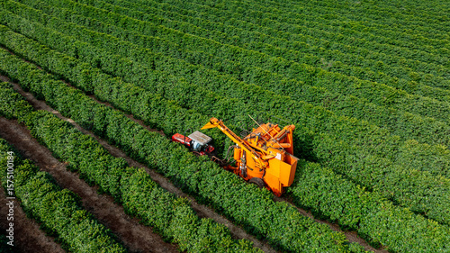 Photos Tractor and harvester in coffee plantation
