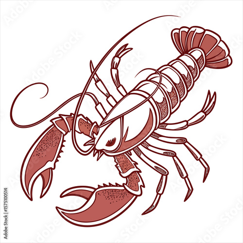 illustration of a lobster