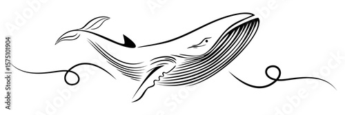 line art illustratiom background blue whale