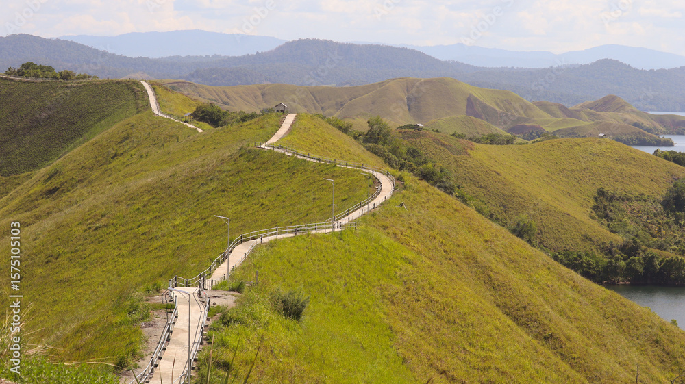 Fototapeta premium Winding Footpath Through Green Tropical Hills with Mountain and Lake Background. A winding pedestrian path meanders along lush green hills with mountain and lake views beyond.