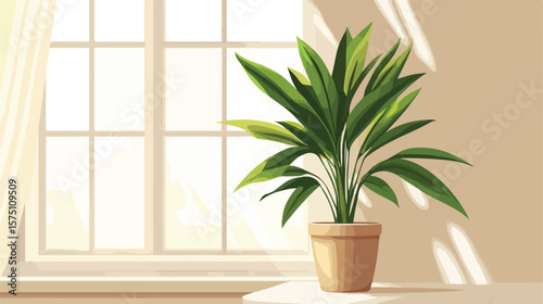 Indoor Potted Green Plant on Windowsill