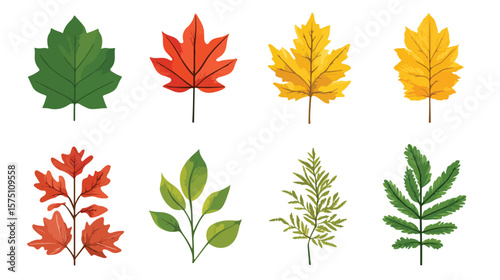 Detailed Leaf Vector on White Background for Graphic Designers