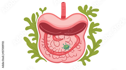Detailed Cartoon Illustration of Human Stomach with Helicobacter Pylori Bacteria, Medical Education Concept