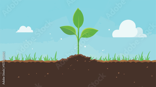 Investment Growth Flat Vector Illustration