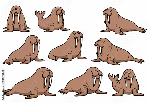 Set of cute cartoon walruses in various poses illustration isolated on white background