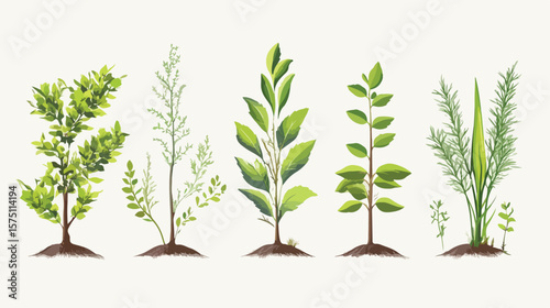Vibrant Nature Plants Growth Vector Illustration