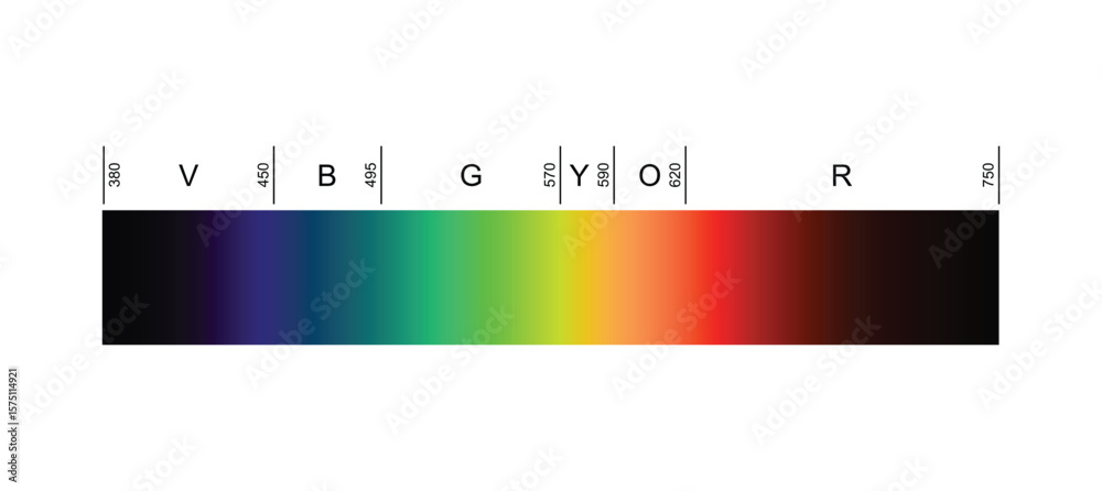 Fototapeta premium Linear Visible Spectrum Color Gradient