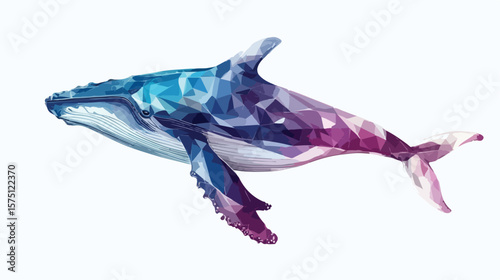 Lone Humpback Whale Calf On White Background for Stock Photos