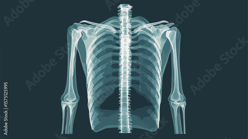 Professional X-ray Medical Healthcare Exam Flat Icon Symbol