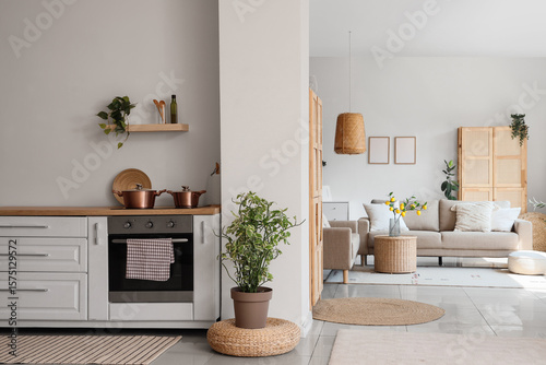 White counters with dishware, comfortable sofa and houseplants in interior of room