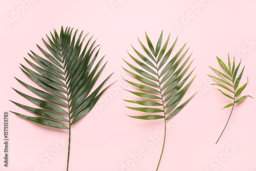 Beautiful tropical leaves o...