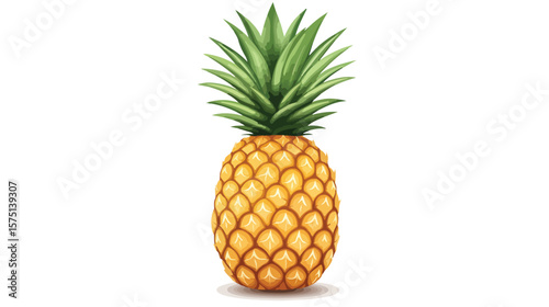 Fresh Pineapple Vector Illustration on White Background