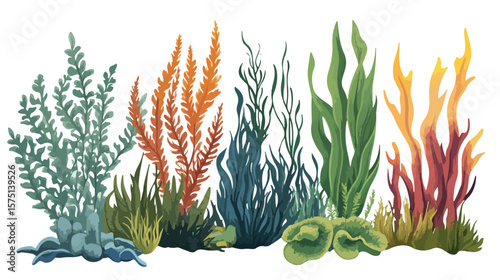 Vibrant Plants and Aquatic Marine Seaweed Vector Illustration