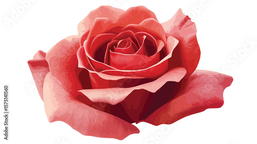 Stunning Rose Isolated on White Background Vector Illustration
