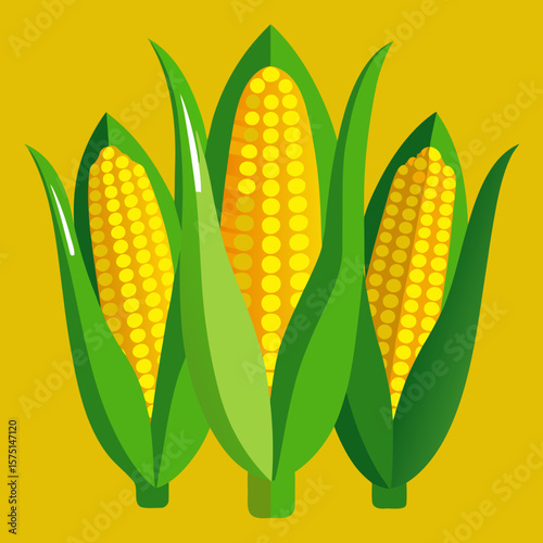 Three ripe yellow corn cobs with green husks against a vibrant golden yellow background