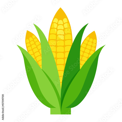Three vibrant yellow corn cobs with green leaves isolated on a white background