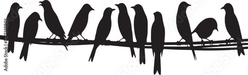 Black bird silhouettes perched on a branch birds