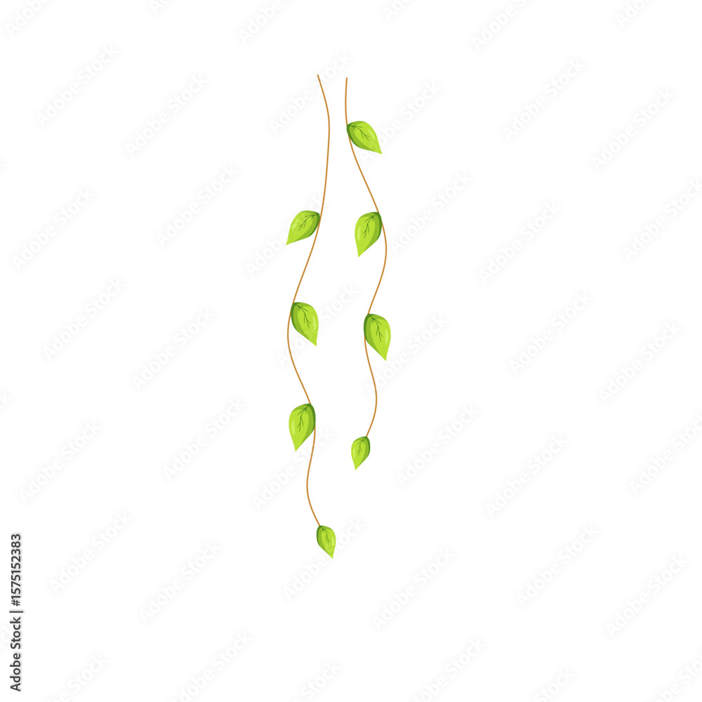 Foto Hanging vine leaves