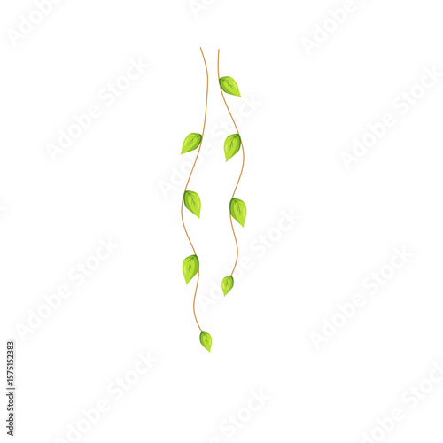 Tableau sur toile Hanging vine leaves