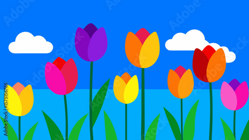 Colorful tulip flowers and clouds with green stems and leaves on a bright blue background