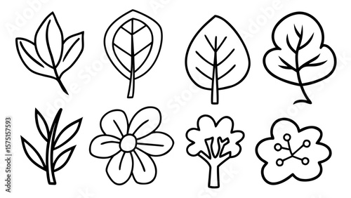 Hand-drawn leaf and floral vector illustrations with clean bold lines for various design applications