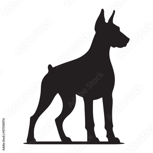 A black silhouette of a Dobermann Terrier vector