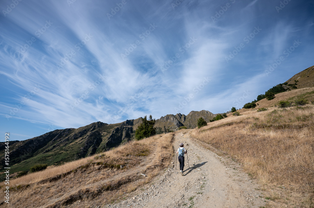 Obraz premium hiking trail on the Isthmus Peak, New Zealand