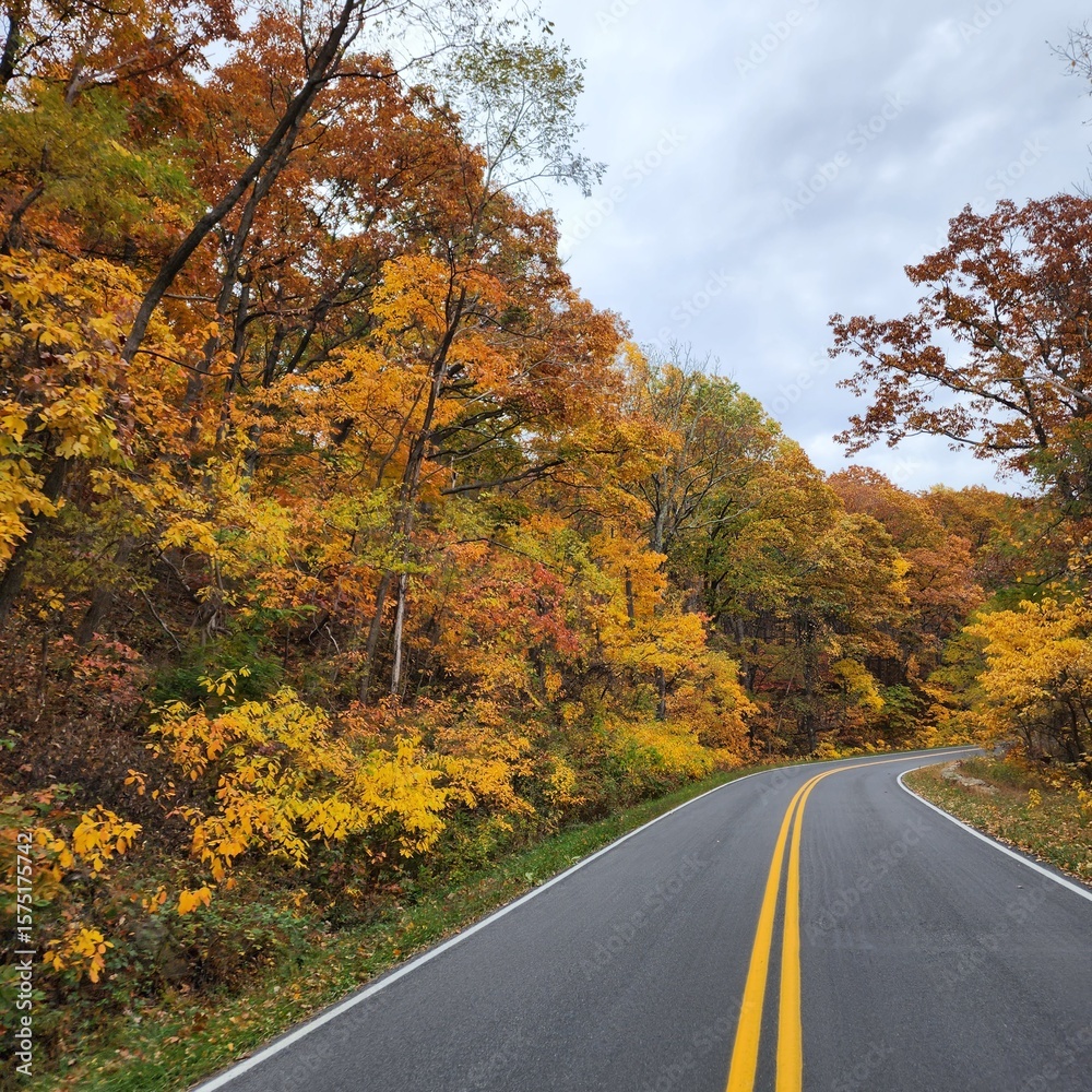 Obraz premium Two lane road during with Autumn colored trees