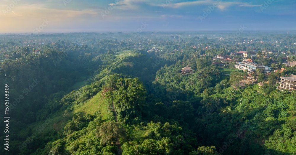 Naklejka premium Aerial view of the lush green landscape and cityscape of Ubud, Bali, Indonesia. The photo captures the natural beauty and urban development of the region.