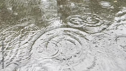 Rain drops creating ripples and circles on a dark, wet surface with brick edge, abstract.