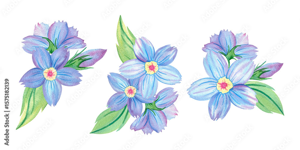 Fototapeta premium Forget-me-not flower, elegant bouquet, composition Myosotis, abstract fantasy blue flower, wildflower, herb, garden plant, botany, floral illustration. Hand drawn watercolor set of isolated objects