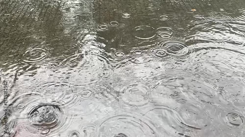 Rain drops creating ripples and circles on a dark, wet surface with brick edge, abstract in slow motion.