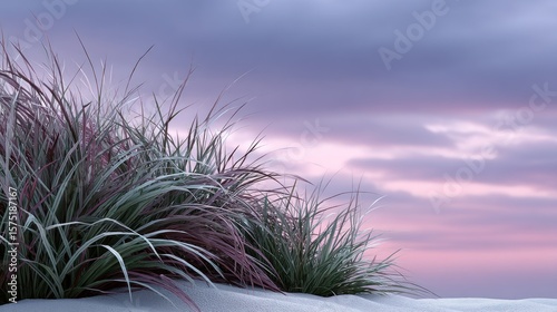 Pastel grass tufts on sand, serene sunset