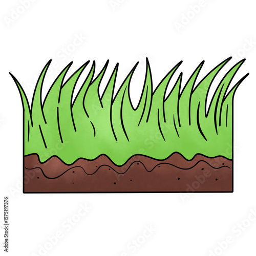 Soil layers Humus