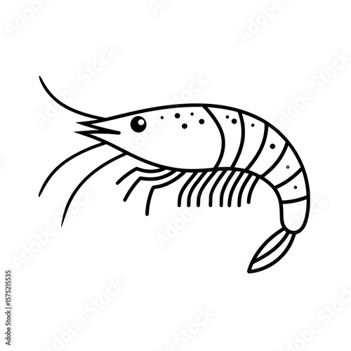 Shrimp illustration icon showing seafood in side view for culinary and marine themes
