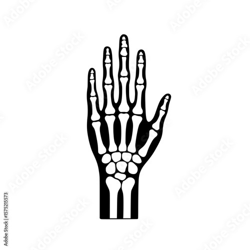 Skeleton hand palm up icon representing anatomical X-ray structure of human hand bones