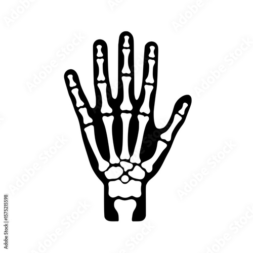 Human hand skeleton X-ray icon showing bones and joints in anatomical view