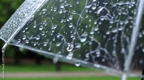 Rain Droplets Dance on a Clear Umbrella During a Serene Moment in a Lush Green Park Generative AI