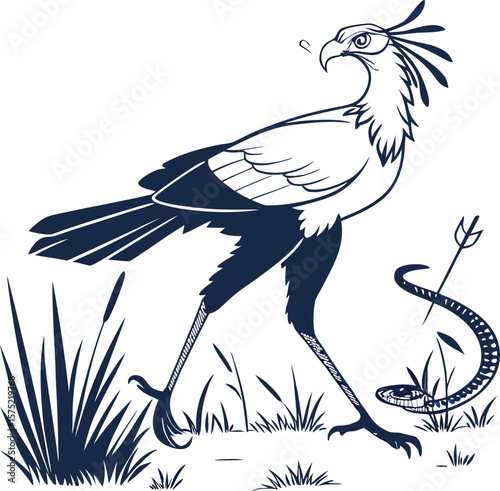 Elegant secretary bird stalking a serpent in a grassy savannah silhouette