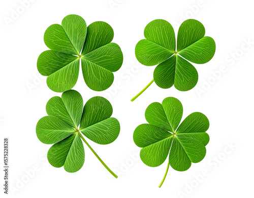 A collection of four vibrant green clovers, symbolizing luck and prosperity, perfec