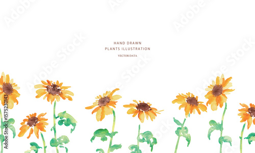 水彩画。水彩タッチの向日葵ベクターイラスト。ひまわりの夏フレーム背景。Watercolor painting. Sunflower vector illustration with watercolor touch. Sunflower summer frame background.