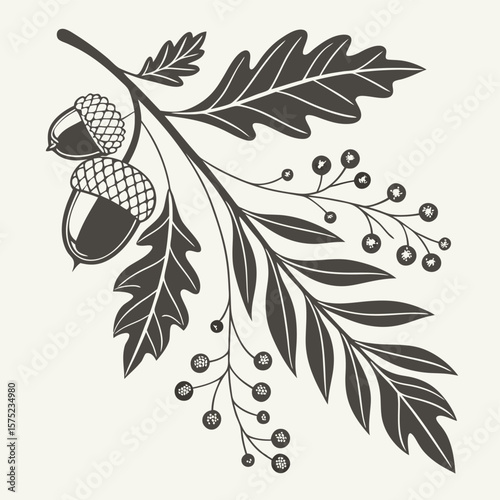 Oak branch illustration with acorns and berries