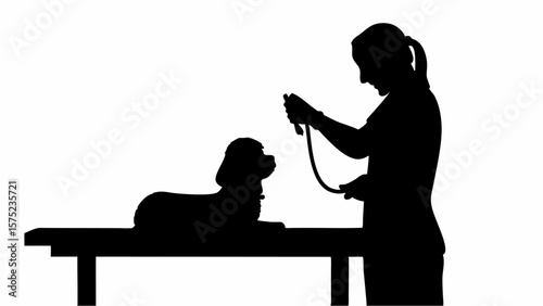 Silhouette of a woman holding a leash standing next to a dog on a table in a veterinary setting | editable eps vectors