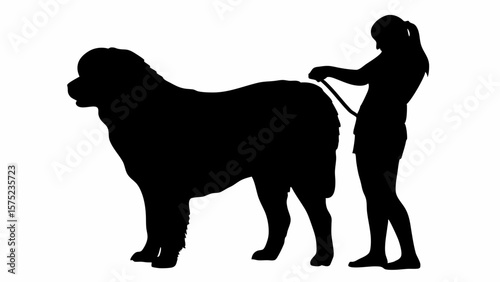 Silhouette of a woman grooming a large dog with a brush in a side view on a white background scene | editable eps vectors
