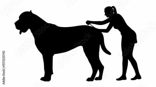 Silhouette of woman grooming a large dog with a comb in a black and white illustration style image | editable eps vectors